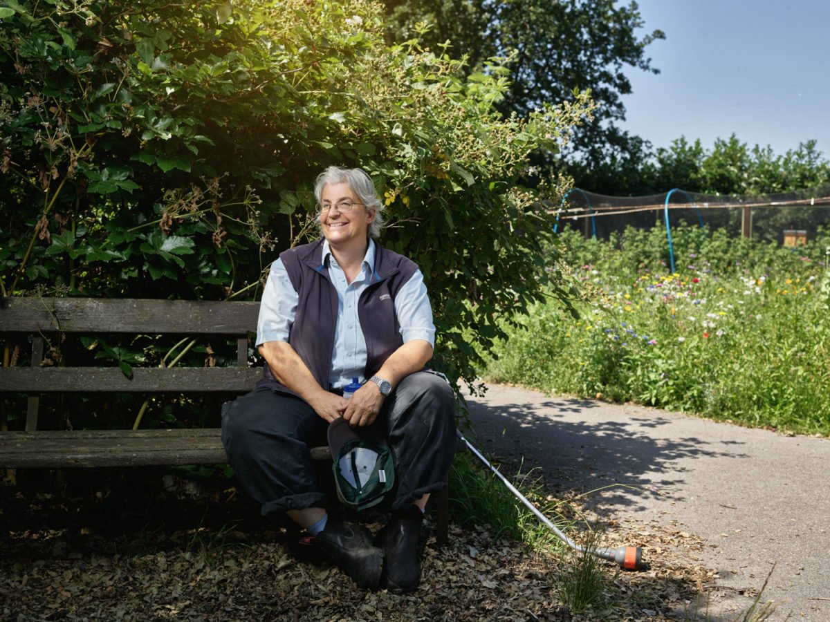 Brockwell Community Greenhouses