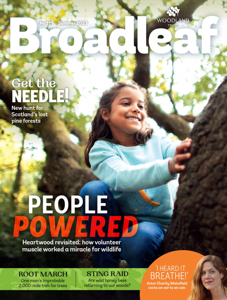Actress Charity Wakefield in Broadleaf magazine.